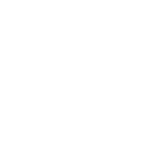 vue